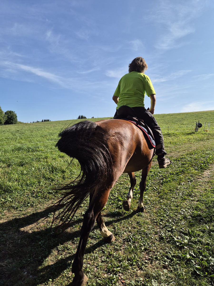 Einsteller am Glockenhof in Tiengen reiten direkt ab Hof mit ihren Lieblingen aus<s